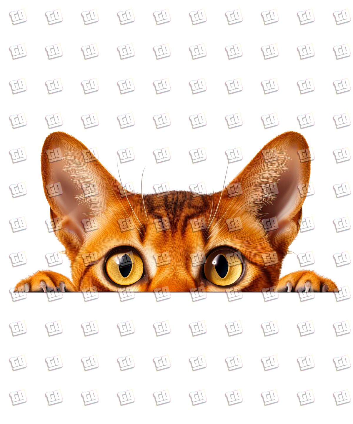 Abyssinian Cat Peeking - Cat - DTF Transfer