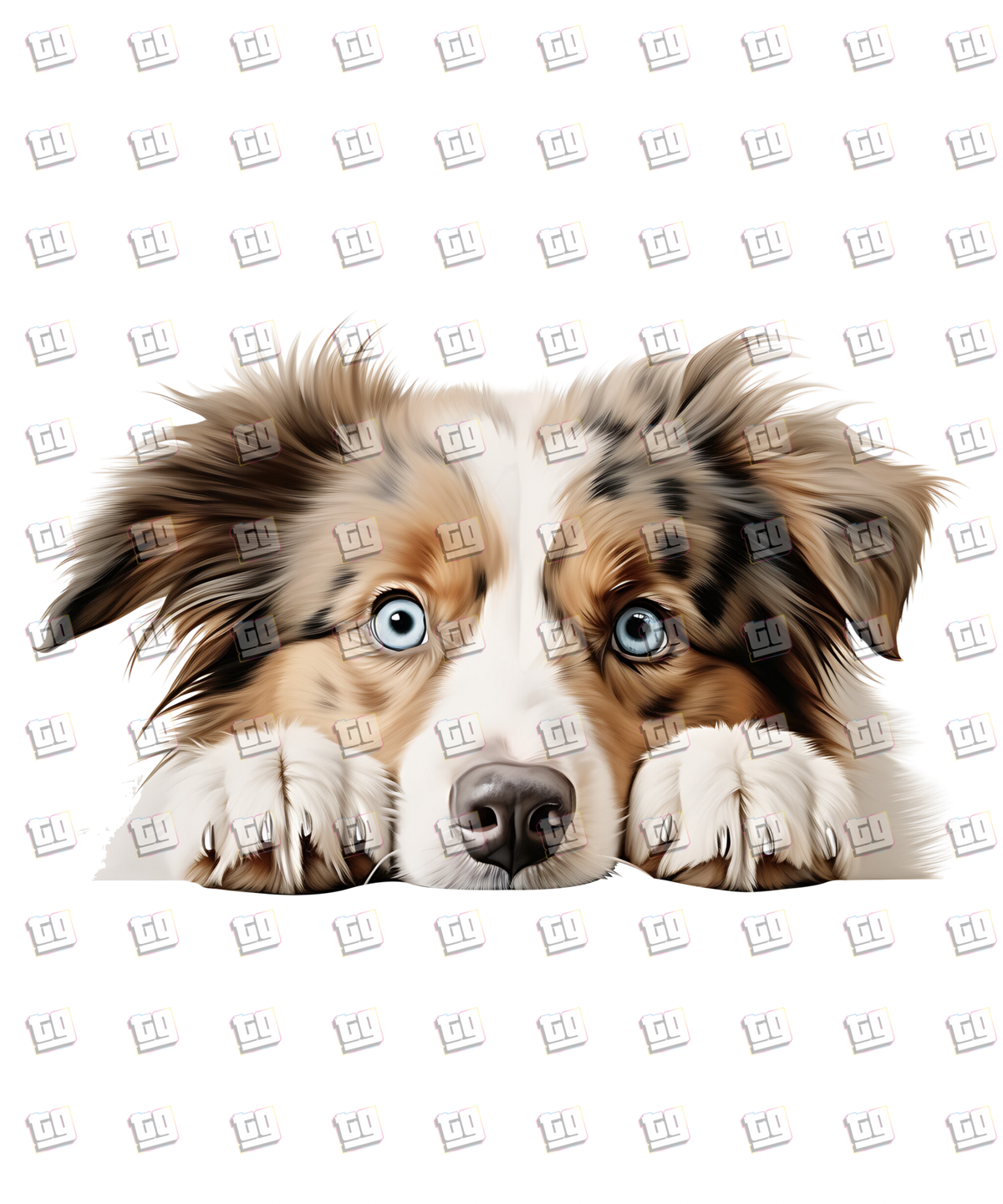 Australian Shepard Dog Peeking - Dog - DTF Transfer
