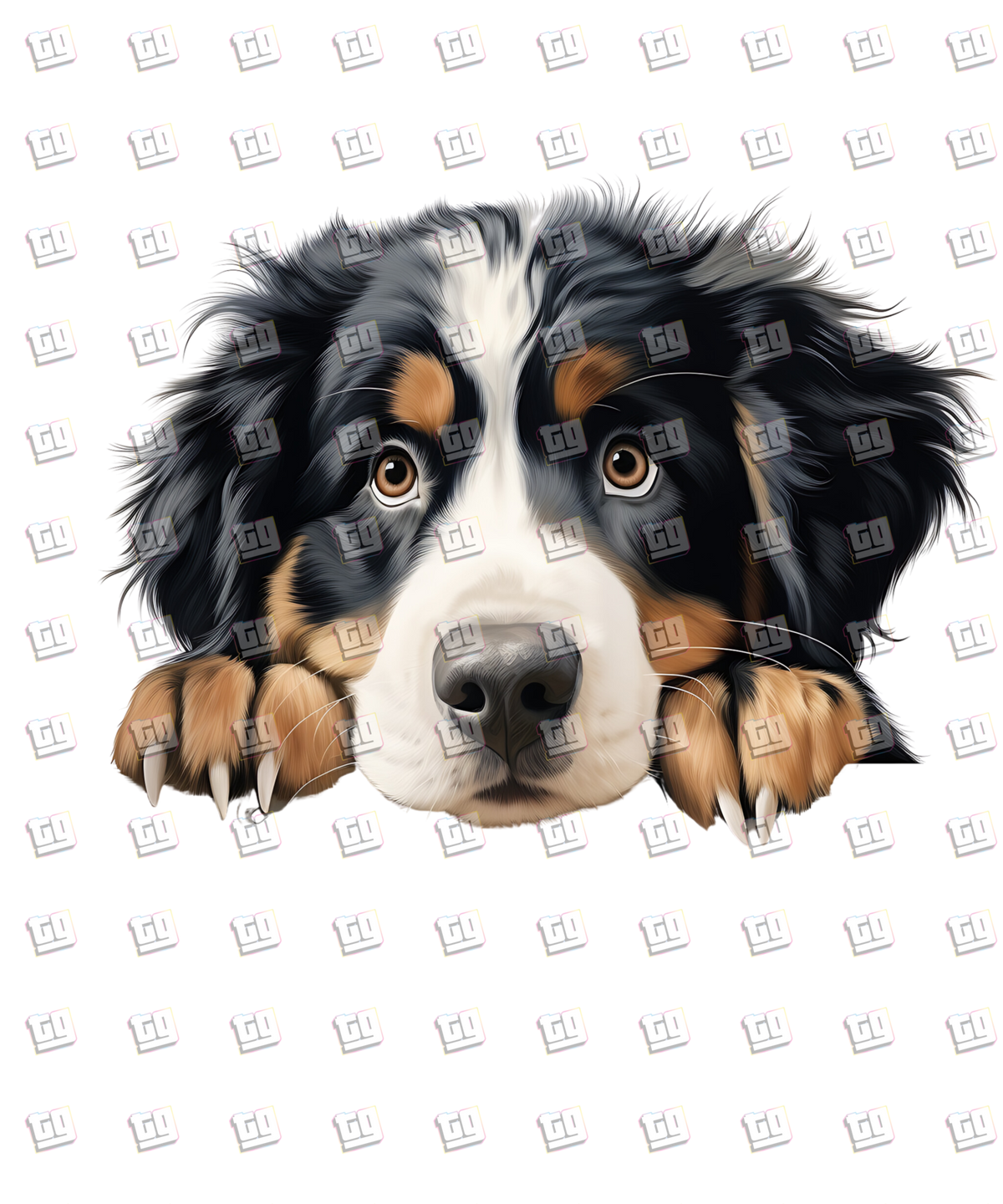 Bernese Mountain Dog Peeking - Dog - DTF Transfer