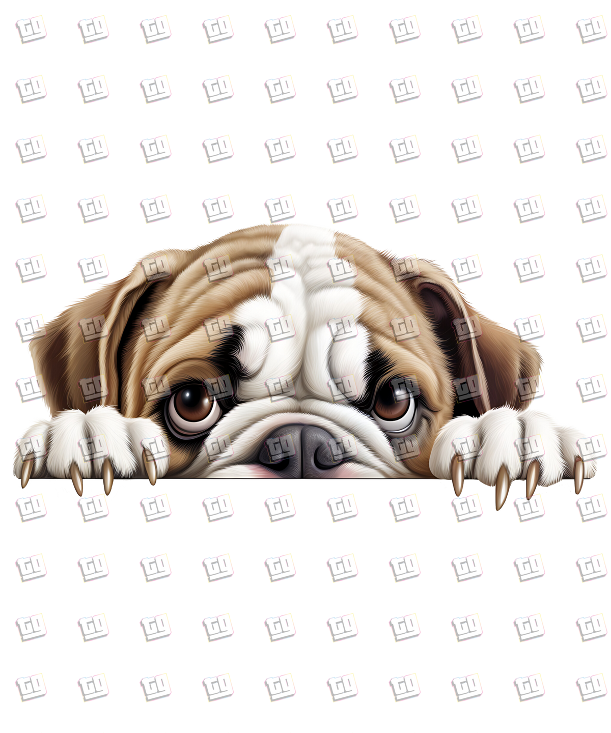 Bulldog Peeking - Dog - DTF Transfer