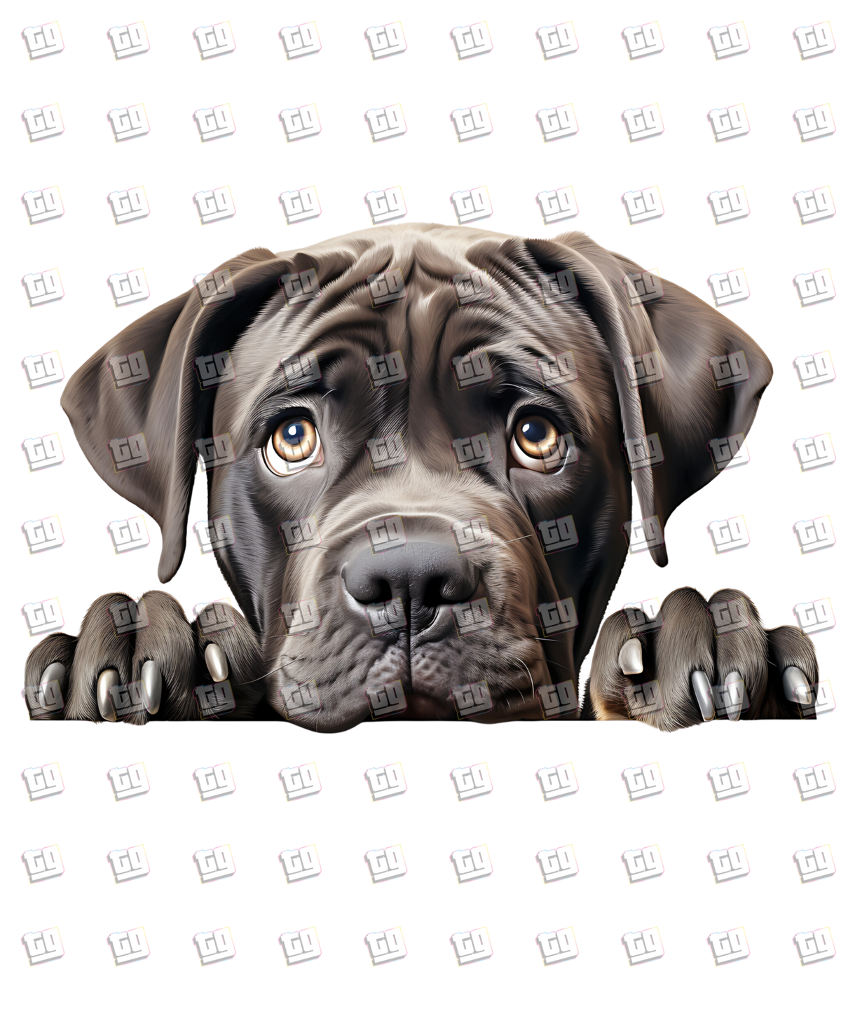 Cane Corso Dog Peeking - Dog - DTF Transfer