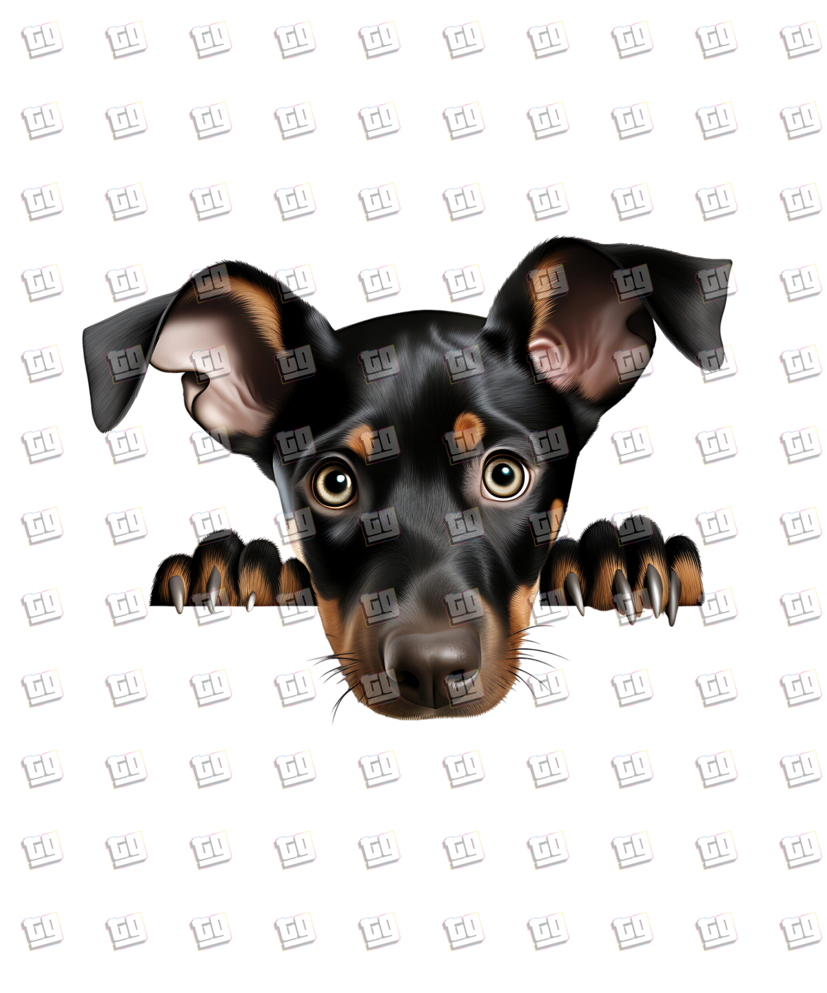 Doberman Pinscher Peeking - Dog - DTF Transfer
