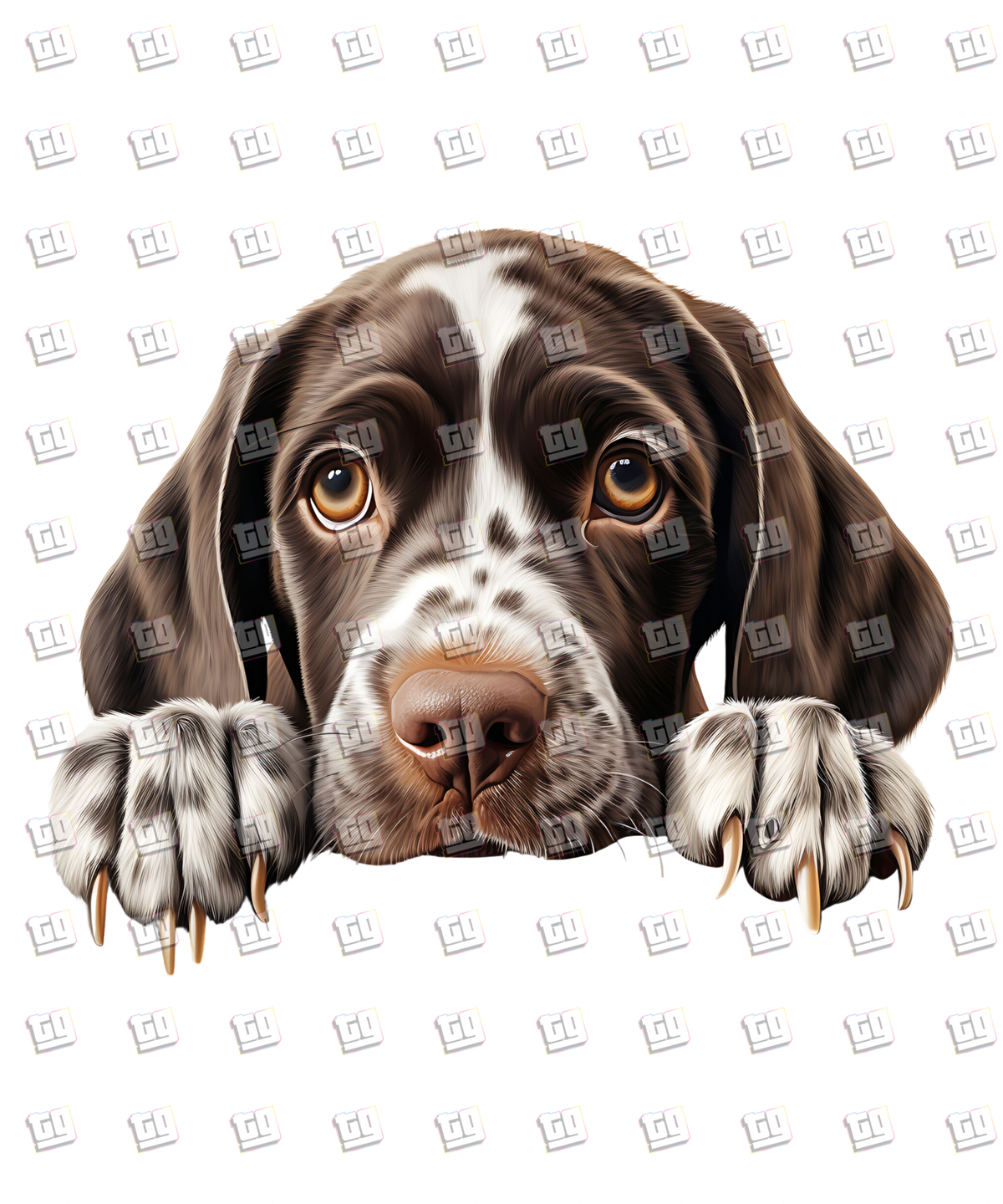 German Shorthaired Pointer Dog Peeking - Dog - DTF Transfer