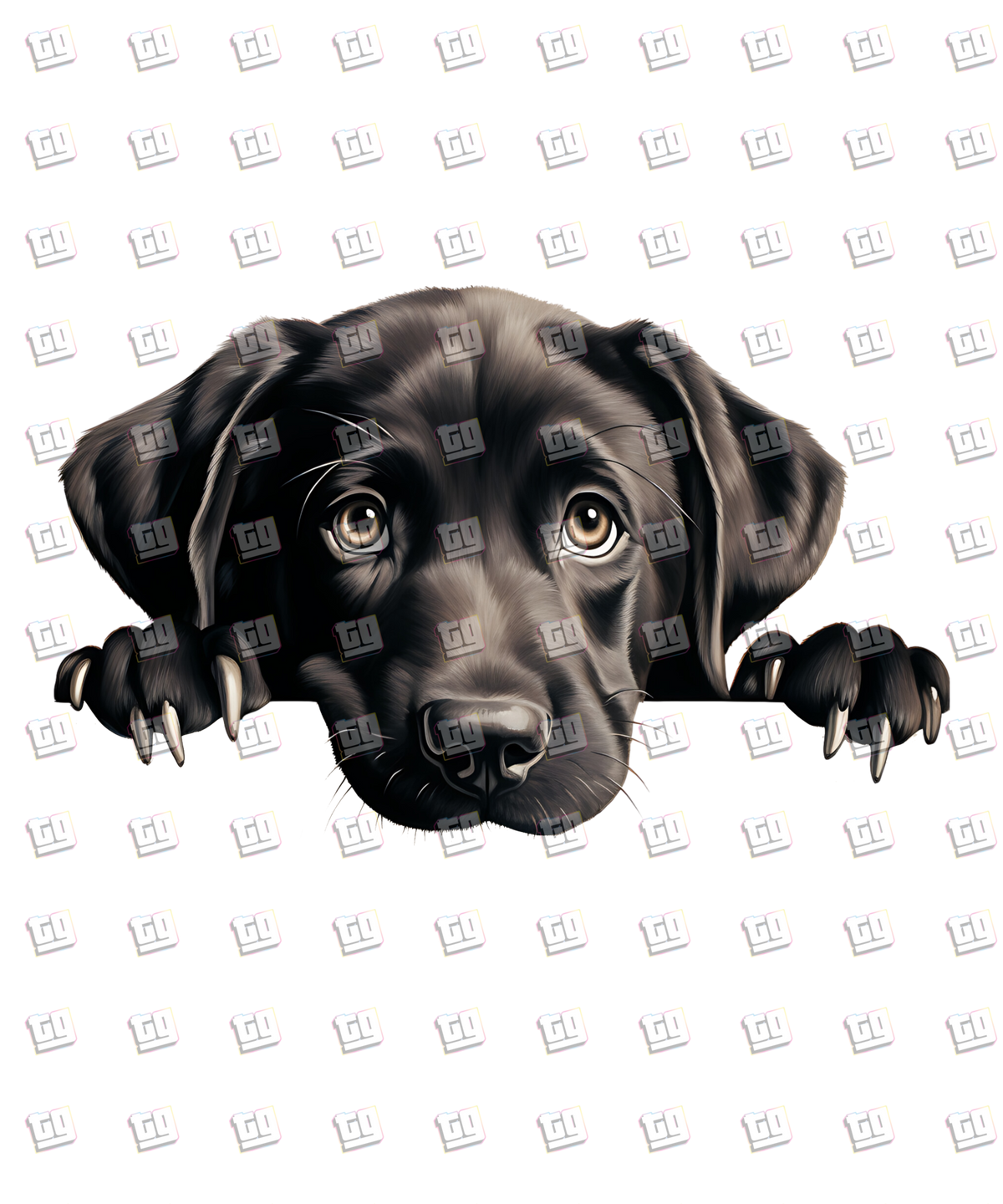Labrador Retriever Peeking - Dog - DTF Transfer