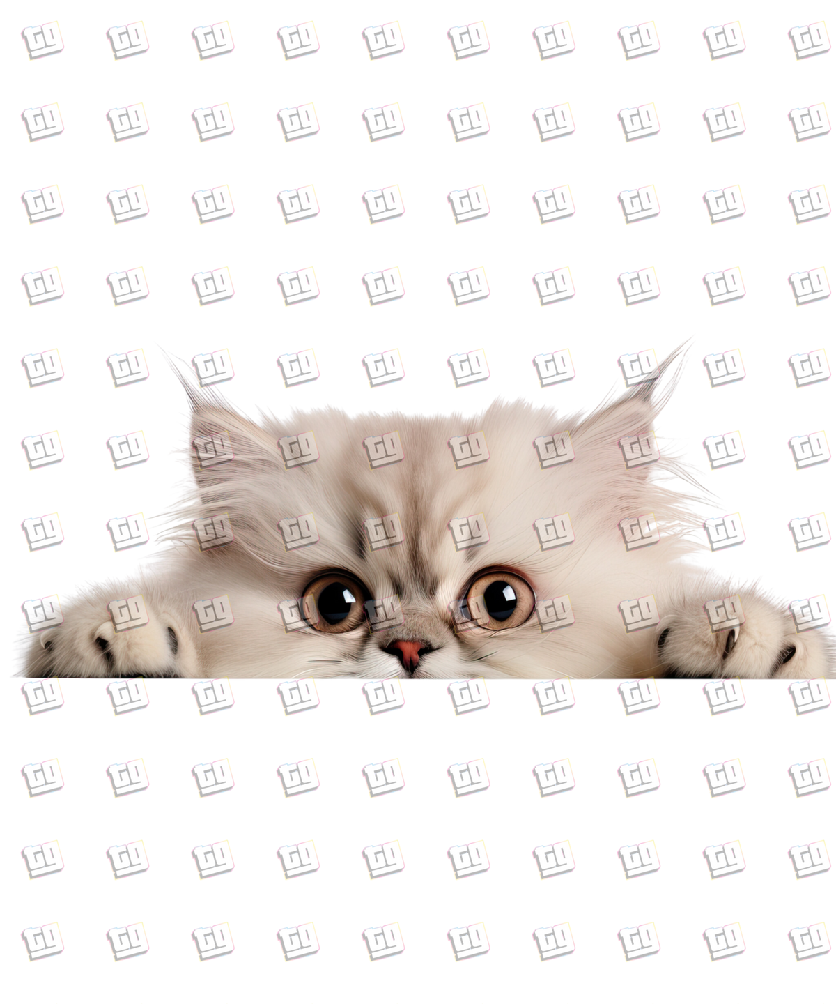 Persian Cat Peeking - Cat - DTF Transfer
