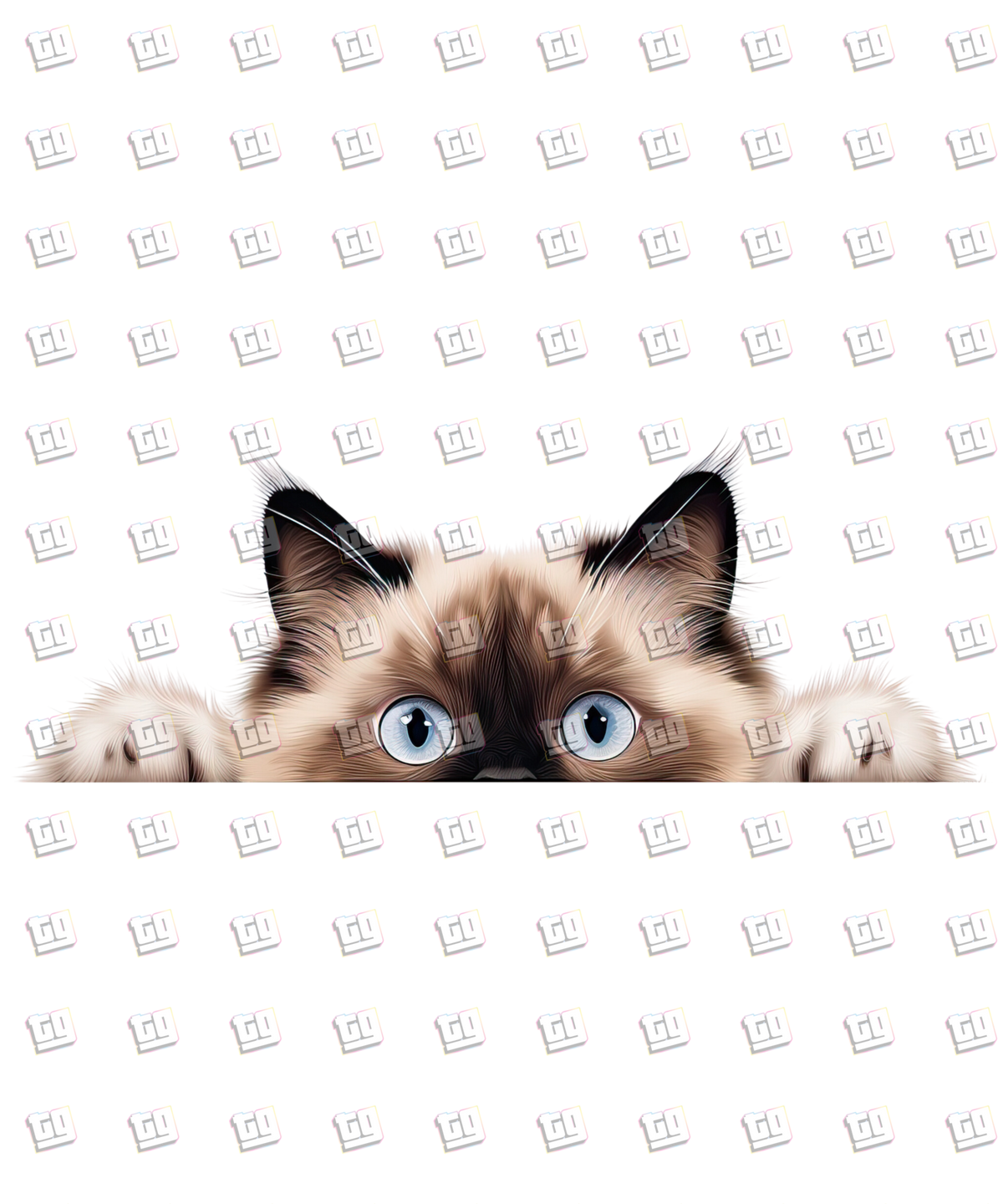 Rag Doll Cat Peeking - Cat - DTF Transfer