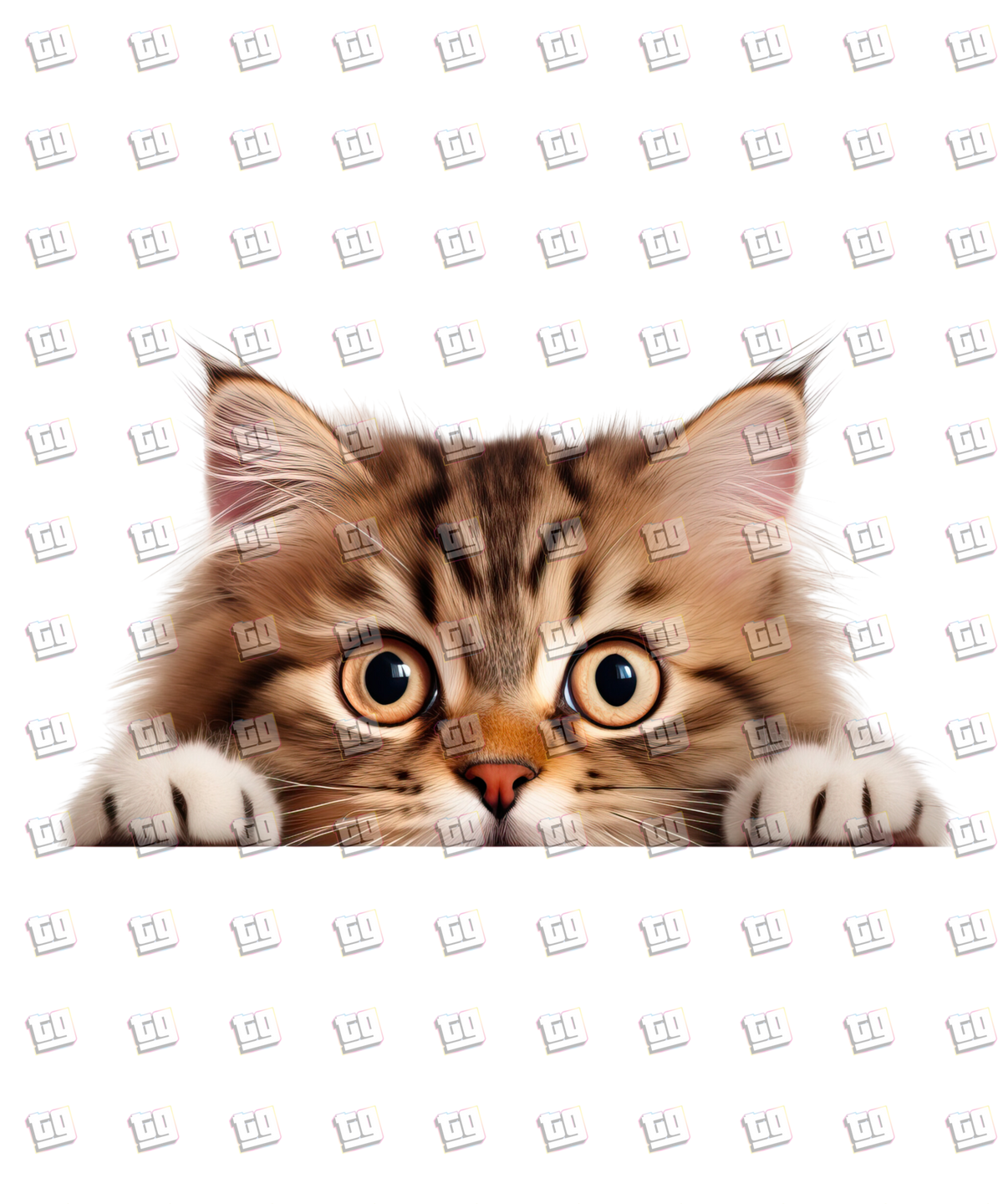 Siberian Cat Peeking - Cat - DTF Transfer