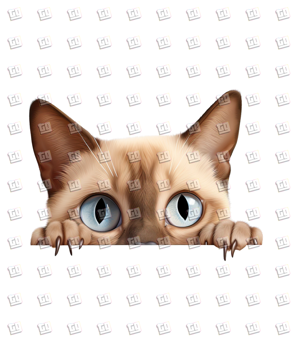 Tonkinese Cat Peeking - Cat - DTF Transfer